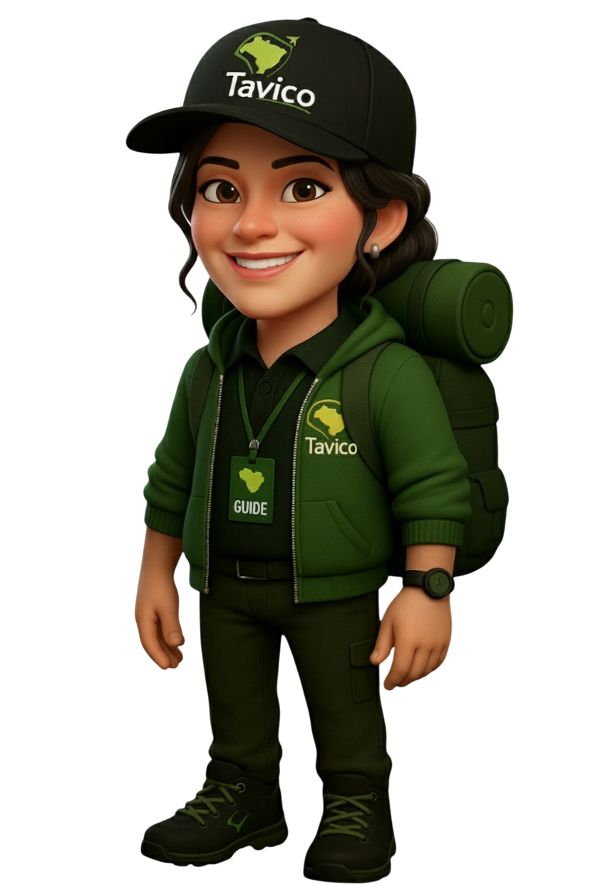 Guia Tavico Turismo